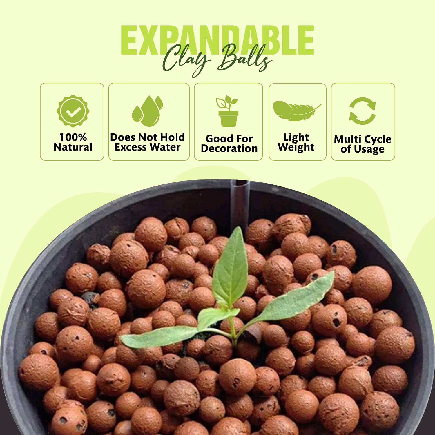 Buy The Original Clay Balls for Plants… | Silkrute Canada